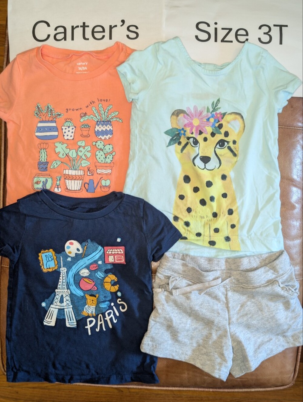3 Carter's T-shirts And 1 Shorts 3T